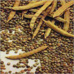 Guar Gum Seeds