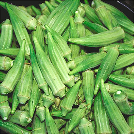 Fresh Okra