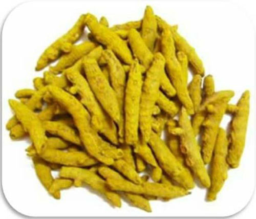 Turmeric Finger Single Polished Orissa