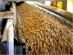 Biofuel Briquette