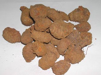 Turmeric Bulb Unpolished Selem