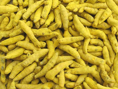 Turmeric Finger Double Polished Selem