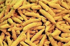 Turmeric Finger Single Polished Selem