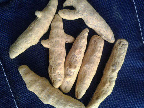 Turmeric Finger Unpolished Selem