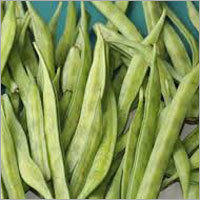 Natural Guar Gum