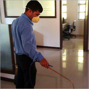 Anti Termite Spray Treatment