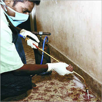 Odourless Anti Termite Treatment