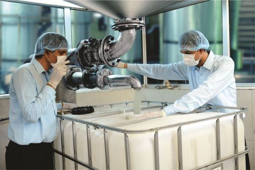  rice quality checking expert team