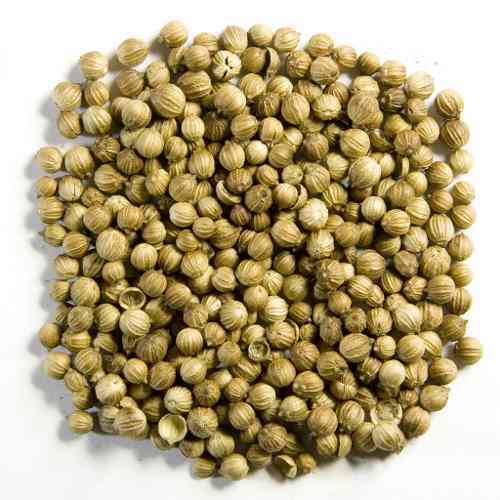 Coriander
