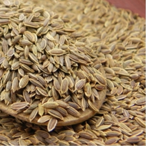Dill Seeds