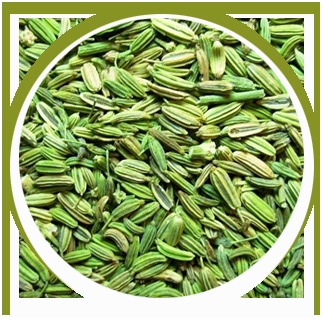 Fennel Seeds