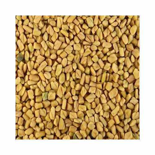 Fenugreek