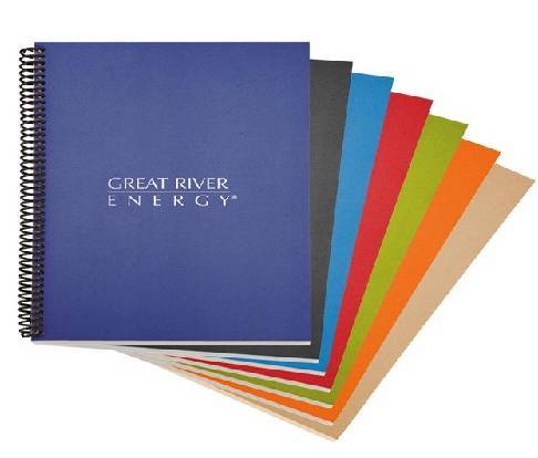 Executive Diary