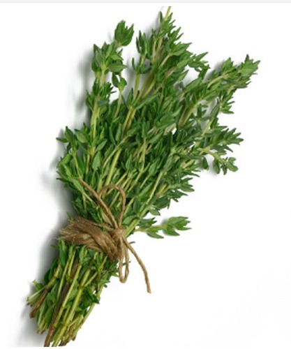 Thyme