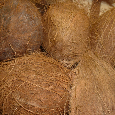 Coconut
