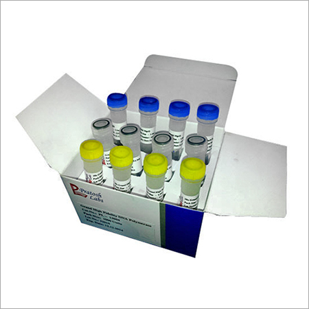 PCR Fidelity