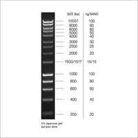 1kb Power Dna Ladder - 100 Ng/âµl Concentration, 100-10000 Bp Size Range | High Accuracy, Easy Usage, Ready-to-use Format, 10+ Bands