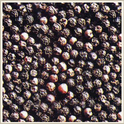 Black Pepper