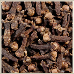 CLOVES