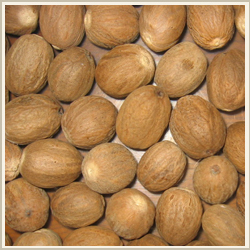 Nutmeg