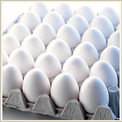 Poultry White Eggs