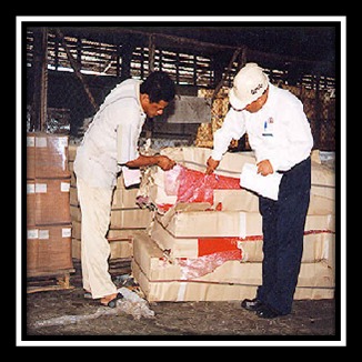 Cargo Surveying Services