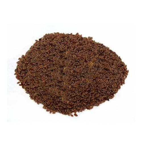 Psyllium Seeds