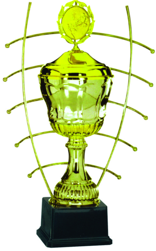Metal and ABS Trophies
