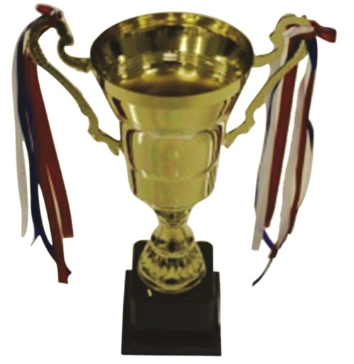 Metal and ABS Trophies