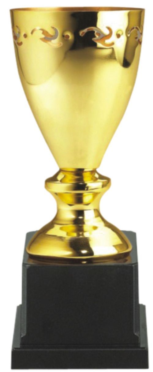 Metal and ABS Trophies