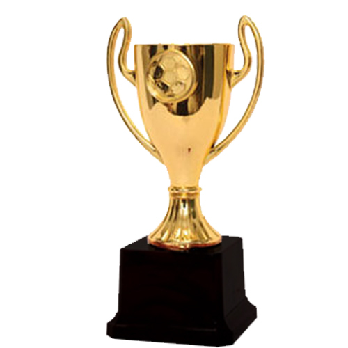 Sports Trophies