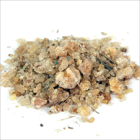 Veterinary Feed Supplements