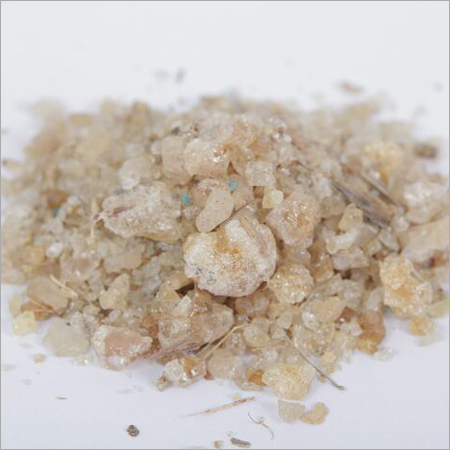Animal Feeds Supplements