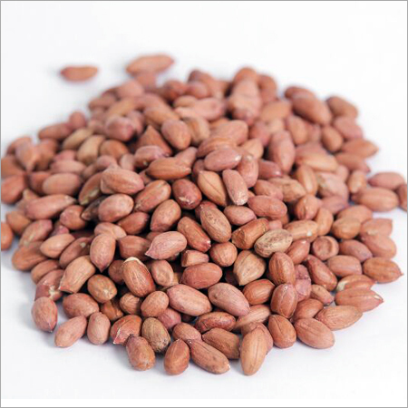 Groundnut Kernel