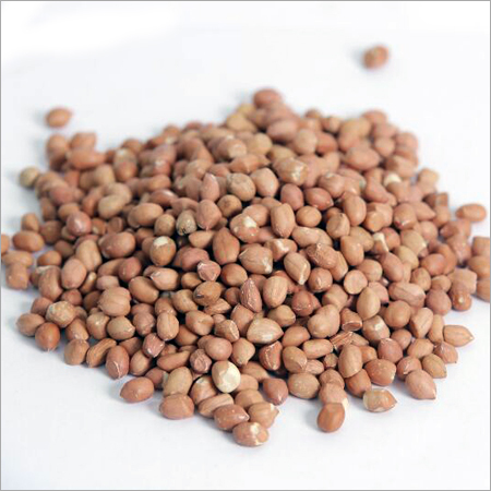 Nuts & Kernels