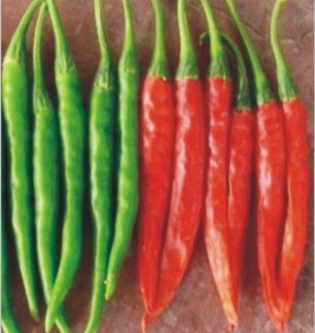 Hyb. Green Fire