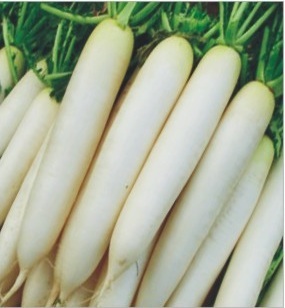 Japanese White