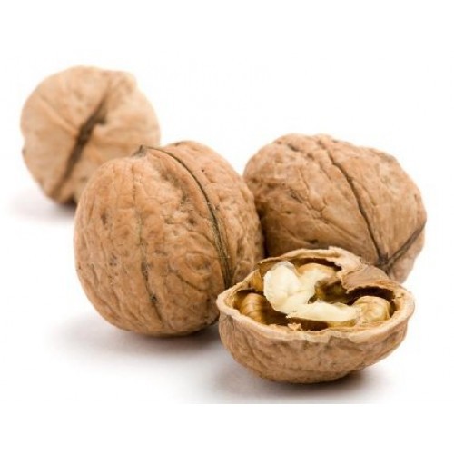 Walnut