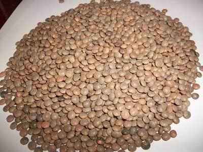 Masoor Dal