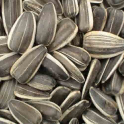 Sunflower Seeds