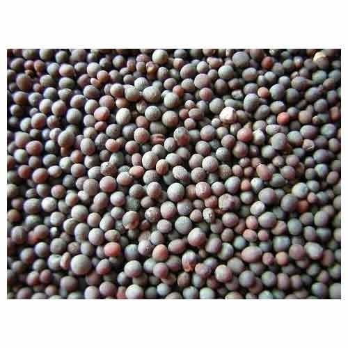 Black Mustard Seeds