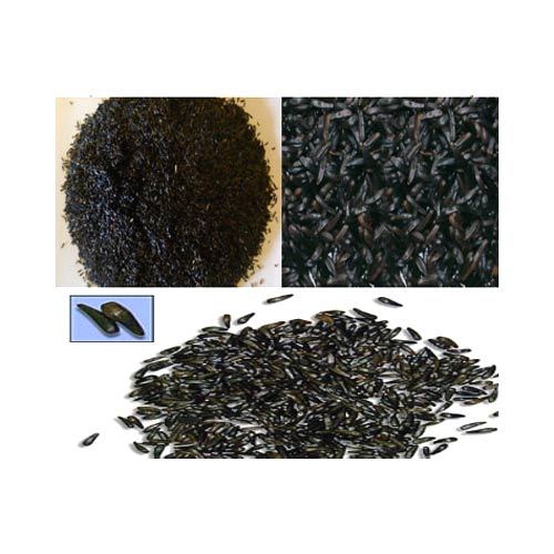 Niger Seeds