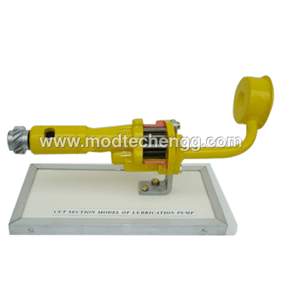 Cut Section Model Of Different Small Components