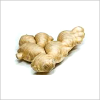 Organic Ginger