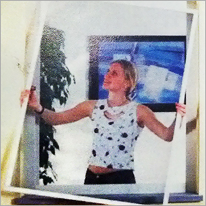 Fixed Window Mesh System