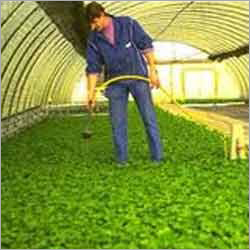 Horticulture Services