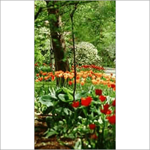 Horticulture Services By APEX ENTERPRISES