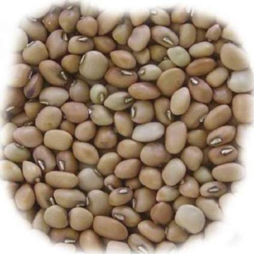 Cow Pea(Chawala)