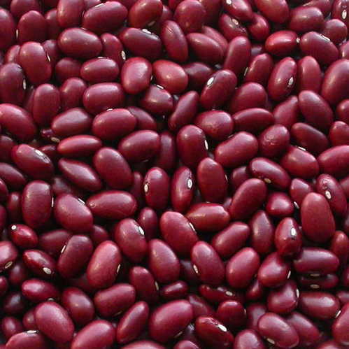 Rajma