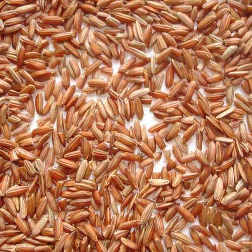 Red Rice